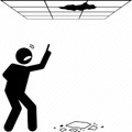 Picture1